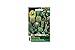 Foto Mezcla especial de cactus | Este paquete trae increíbles 50 plantas | Plantas de interior | para amantes de las plantas