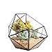 Foto Moderno terrario poliédrico triangular de cristal, de fabricación artesanal, para plantas suculentas, bonsáis o cactus