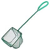 Pawfly 4 Inch Aquarium Net Fine Mesh Small Fish Catch Nets with Plastic Handle - Green Photo, best price $4.99 new 2024