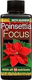 Growth Technology Poinsettia Focus concentrato Plant Food 100 ml foto, miglior prezzo EUR 14,54 nuovo 2024