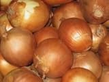 Onion Seeds- Sweet Yellow Spanish Heirloom- 250+ Seeds Photo, best price $4.39 new 2024
