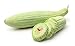 Photo Armenian Yard-Long Cucumber Seeds - Non-GMO - 4 Grams, Approximately 130 Seeds
