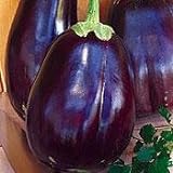 Eggplant Black Beauty Great Heirloom Vegetable 1,300 Seeds Photo, best price $3.95 new 2024