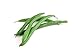 Photo Slenderette Green Bean (Bush Bean) Seeds, 50+ Heirloom Seeds Per Packet, (Isla's Garden Seeds), Non GMO Seeds, Scientific Name: Phaseolus vulgaris