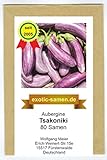 Aubergine - mittelspät - aus Griechenland - Tsakoniki - 80 Samen Foto, bester Preis 2,29 € neu 2024
