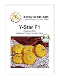 Y-Star F1 BIO Kürbissamen von Bobby-Seeds Portion Foto, bester Preis 2,95 € neu 2024