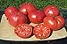 Photo Ohio Heirloom Seeds Beefsteak Tomato Seeds 75+ Heirloom Variety Grown in 2020