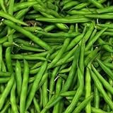 Blue Lake Pole Bean Seeds, 50 Heirloom Seeds Per Packet, Non GMO Seeds, Botanical Name: Phaseolus vulgaris, Isla's Garden Seeds Photo, best price $5.99 ($0.12 / Count) new 2024