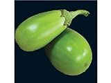 25 APPLEGREEN EGGPLANT Green Fruit / Vegetable Solanum Melongena Seeds Photo, best price $3.00 ($0.12 / Count) new 2024