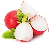 Cherry Belle Radish Seeds | Vegetable Seeds for Planting Outdoor Gardens | Heirloom & Non-GMO | Planting Instructions Included Photo, best price $6.95 new 2024