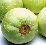 Sweet Melon Seeds (CHK) (Japanese New Mini Honeydew, 30 Seeds) Photo, best price $9.95 ($0.33 / Count) new 2024