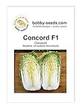 Kohlsamen Concord F1 Chinakohl Portion Foto, bester Preis 1,75 € neu 2024