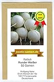 Rettich - Runder Weißer (50 Samen) Foto, bester Preis 1,80 € neu 2024