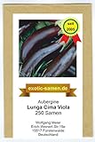 Aubergine - Lunga Cima Viola - alte italienische Regionalsorte - 250 Samen Foto, bester Preis 3,99 € neu 2024