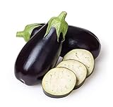 Eggplant Seeds for Planting Home Garden - Container Vegetable Garden - Black Beauty Eggplant Photo, best price $5.98 new 2024