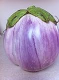 Rosa Bianca Eggplant Seeds- Heirloom- 100+ Seeds Photo, best price $2.99 new 2024