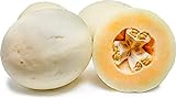 Orange Fleshed Honeydew Melon Seeds - 50 Count Seed Pack - Non-GMO - A Hybrid Variety of a Green fleshed Honeydew with a Orange fleshed Muskmelon. - Country Creek LLC Photo, best price $2.29 new 2024