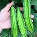 Photo 20 Pcs Non-GMO Winged Bean Seeds Psophocarpus Tetragonolobus Natural Green Seeds,for Growing Seeds in The Garden or Home Vegetable Garden
