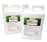 Kelp Fertilizer by GS Plant Foods (5 Gallon) - Organic Liquid Fertilizer for Gardens, Lawns & Soil - Liquid Kelp Concentrate Photo, best price $149.95 new 2024