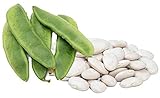 Henderson Lima Beans, 50 Seeds Per Packet, Non GMO Heirloom Seeds, High Germination & Purity, Botanical Name: Phaseolus lunatus, Isla's Garden Seeds Photo, best price $5.99 ($0.12 / Count) new 2024