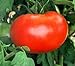 Photo 110+ Big Boy Organic NON-GMO Tomato Seeds - My Secret Garden - UPC742137106032
