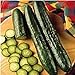 Photo Sweeter Yet Cucumbers Seeds (20+ Seeds) | Non GMO | Vegetable Fruit Herb Flower Seeds for Planting | Home Garden Greenhouse Pack