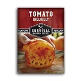 Survival Garden Seeds - Hillbilly Tomato Seed for Planting - Packet with Instructions to Plant and Grow Uniquely Colored Potato Leaf Tomatoes in Your Home Vegetable Garden - Non-GMO Heirloom Variety Photo, best price $4.99 new 2024