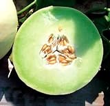 Park Seed Snow Mass Honeydew Melon Seeds Photo, best price $7.95 new 2024