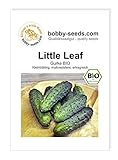 BIO-Gurkensamen Little Leaf Einlegegurke Portion Foto, bester Preis 1,95 € neu 2024