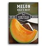 Survival Garden Seeds - Hale's Best Melon Seed for Planting - Grow Juicy Cantaloupe for Eating - Packet with Instructions to Plant in Your Home Vegetable Garden - Non-GMO Heirloom Variety Photo, best price $4.99 new 2024