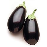 David's Garden Seeds Eggplant Night Shadow (Purple) 25 Non-GMO, Hybrid Seeds Photo, best price $3.45 new 2024