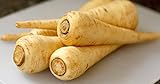 All American Parsnip Seeds, 300 Heirloom Seeds Per Packet, Non GMO Seeds Photo, best price $5.99 ($0.02 / Count) new 2024