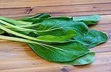 Gemüsekohl - Choy Sum, Gunsho - Chinakohl - Kohl - 100 Samen Foto, bester Preis 1,70 € neu 2024