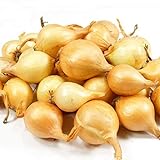 8 Ounces Yellow Onion Sets Sweet Onions Bulb Seed Set Perennial Garden Vegetable Green Plant Bulbs Seeds Permaculture Photo, best price $9.95 new 2024