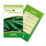 Zucchini Diamant F1 Samen - Cucurbita pepo - Zucchinisamen - Gemüsesamen - Saatgut für 5 Pflanzen Foto, bester Preis 1,99 € (0,40 € / stück) neu 2024