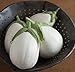 Photo David's Garden Seeds Eggplant Paloma (White) 25 Non-GMO, Hybrid Seeds