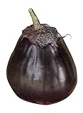 Burpee Meatball Eggplant Seeds 35 seeds Photo, best price $9.61 new 2024