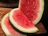Bradford Watermelon Seed Packet Super Sweet Southern Heirloom Photo, best price $6.99 new 2024