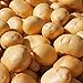 Foto 10 Stück Kartoffelsamen, einfach zu pflanzen, gesunde Gemüsekartoffeln Gemüsesamen für den Anbau zu Hause