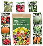 Heirloom Vegetable Seeds -9 Variety - Non GMO Vegetable Seeds for Planting Indoor or Outdoors, Tomato, Carrots, Cantaloupe, Cucumber, Green Honeydew Melon, Pumpkin, Watermelon, Cherry Belle Radish, S Photo, best price $10.90 new 2024