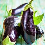 Eggplant Seed, Black Beauty, Heirloom, Non GMO, 50 Seeds, Vegetable Photo, best price $2.29 ($0.05 / Count) new 2024