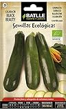 Bio Samen - Zucchini Black Beauty (24-32 Samen - Bio) Foto, bester Preis 4,83 € (24,15 € / kg) neu 2024