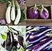 Photo David's Garden Seeds Collection Set Eggplant 4432 (Multi) 4 Varieties 200 Non-GMO, Open Pollinated Seeds