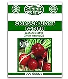 Crimson Giant Radish Seeds - 200 Seeds Non-GMO Photo, best price $1.59 ($0.01 / Count) new 2024