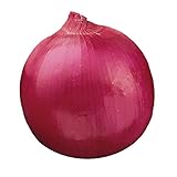 Burpee Red Creole Onion Seeds 300 seeds Photo, best price $6.56 new 2024