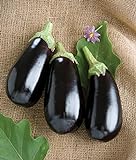 David's Garden Seeds Eggplant Nadia 7492 (Black) 25 Non-GMO, Hybrid Seeds Photo, best price $3.45 new 2024