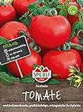 83461 Sperli Premium Tomatensamen Fanatsio | Hochresistent |Tomatensamen Resistent | Aromatische | Ertragreich | Tomaten Samen | Tomatensamen alte Sorten Freiland | Tomaten Saatgut Foto, bester Preis 4,97 € neu 2024