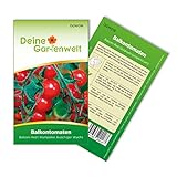 Balkontomaten Balkonzauber Samen - Solanum lycopersicum - Balkontomatensamen - Gemüsesamen - Saatgut für 15 Pflanzen Foto, bester Preis 1,99 € (0,13 € / stück) neu 2024