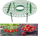 JJZJ 5 Pack Strawberry Supports with 4 Sturdy Legs for Keeping Plant Clean and Not Rot in Rainy Days Photo, best price $11.99 new 2024