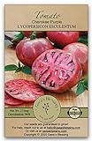 Gaea's Blessing Seeds - Tomato Seeds - Cherokee Purple Slicing Tomato - Non-GMO Seeds with Easy to Follow Planting Instructions - Open-Pollinated 96% Germination Rate Photo, best price $6.99 new 2024